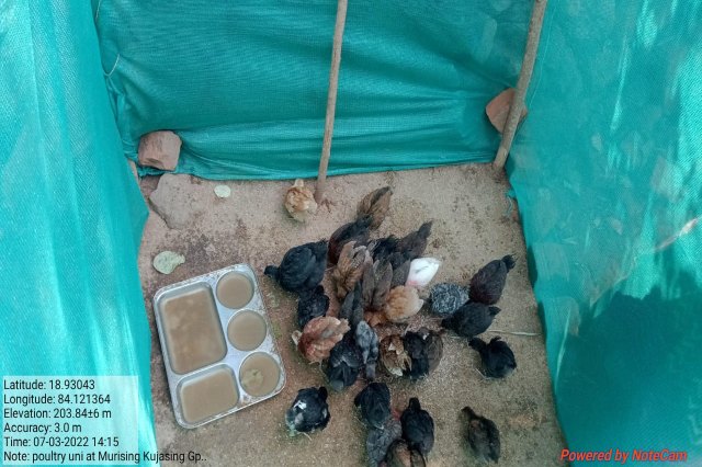 Livelihood Development